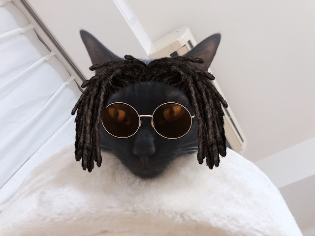 2019-08-09 23.26.44