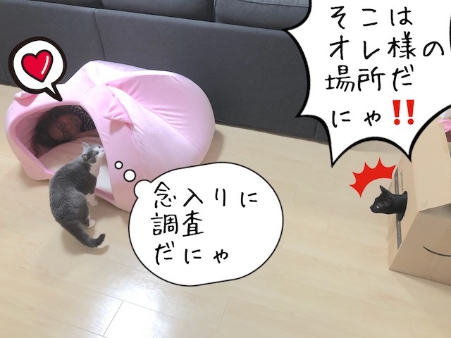 2018-05-23 17.08.54
