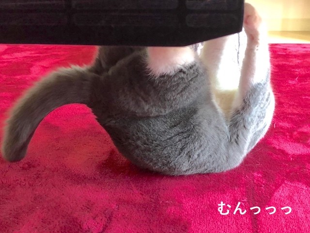 2018-06-04 10.21.49