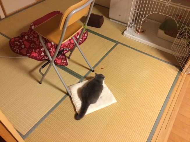 00