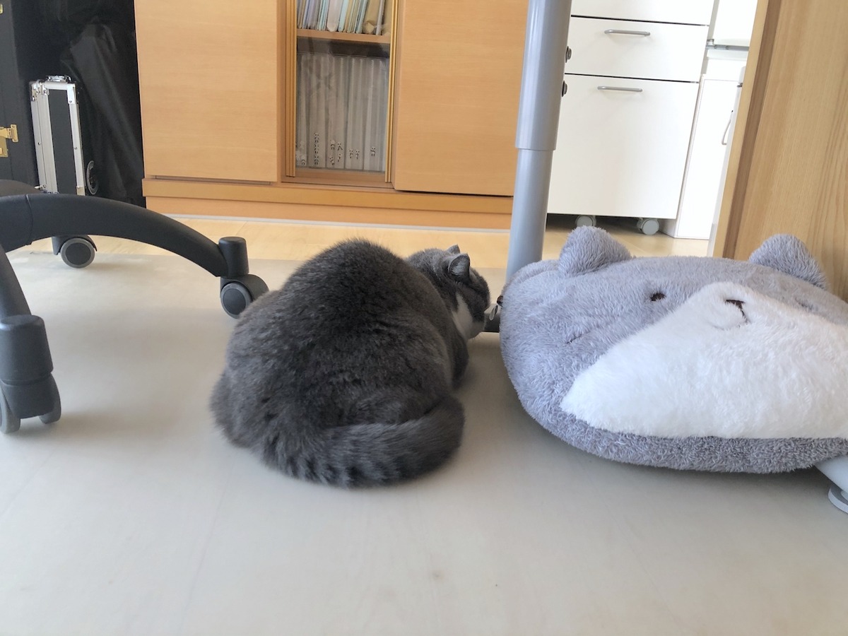 2019-11-07 08.32.04
