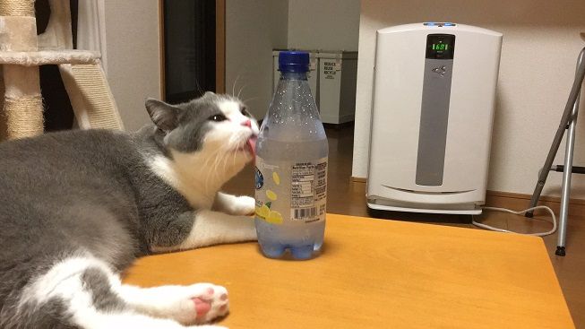 48