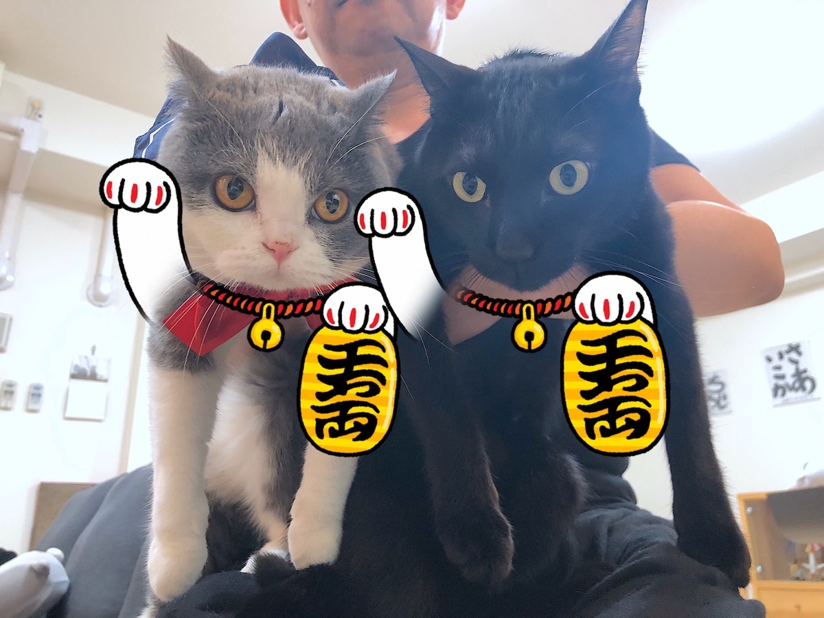2019-12-03 15.45.21のコピー