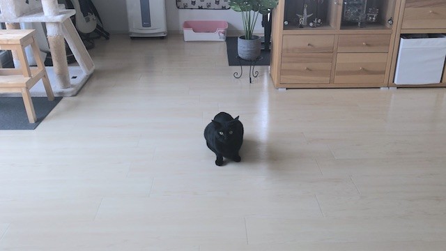 2019-07-16 13.40.36