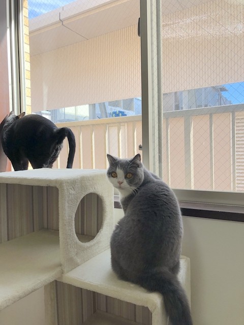 2018-11-24 10.52.52