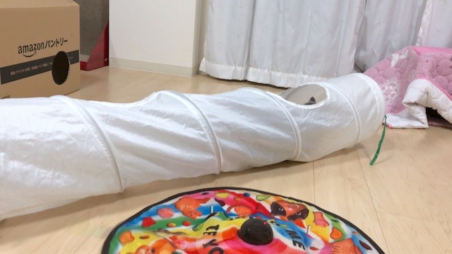 2019-02-27 20.48.19