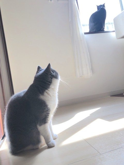 2019-03-05 10.44.51-1
