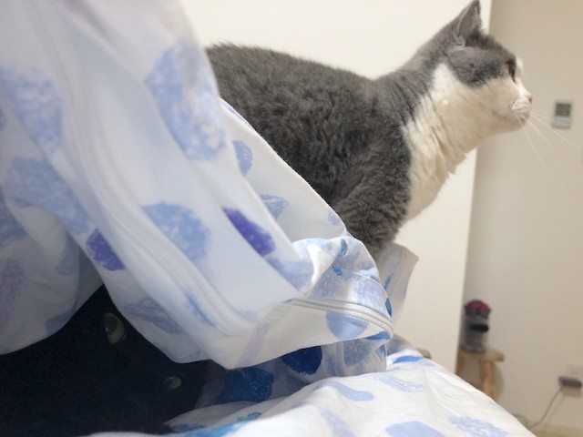 2019-06-02 18.42.36