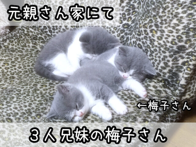 2021-04-22 11.24.37