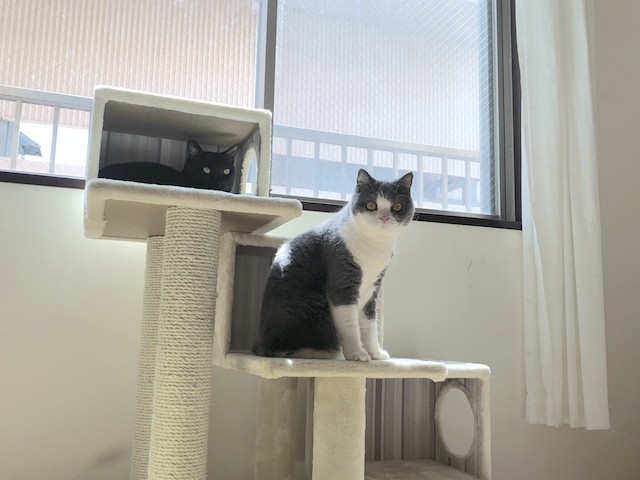 2018-06-30 09.51.35