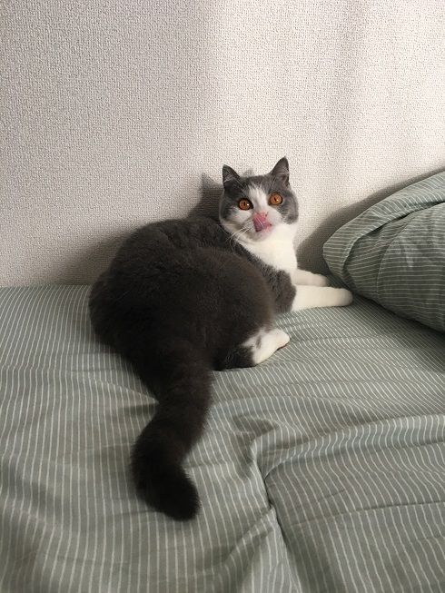 04