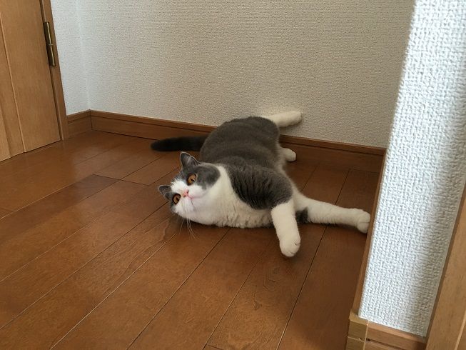 42