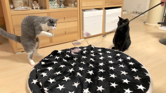 06