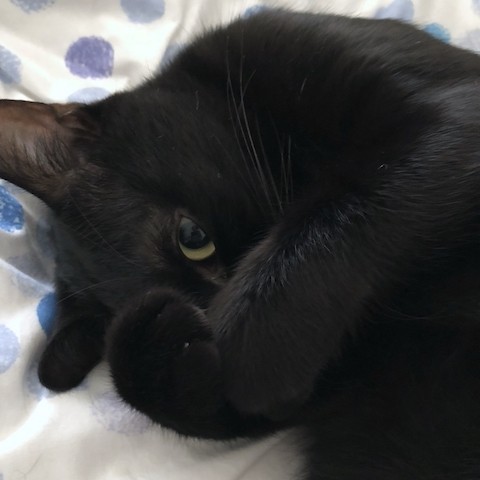 2018-09-30 14.47.37