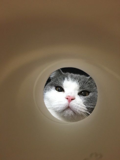 47