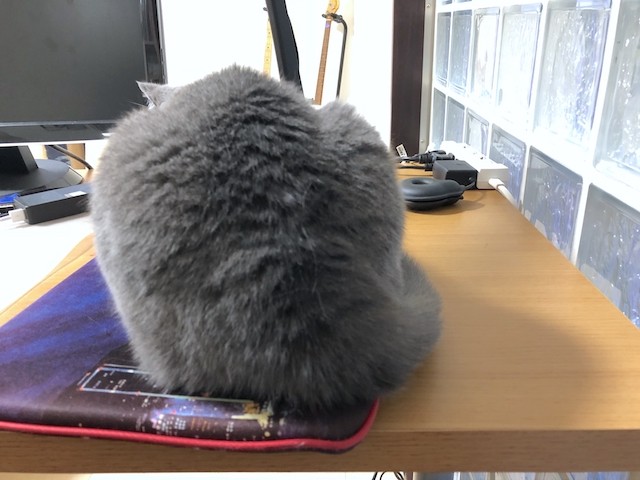 2018-10-21 17.24.49