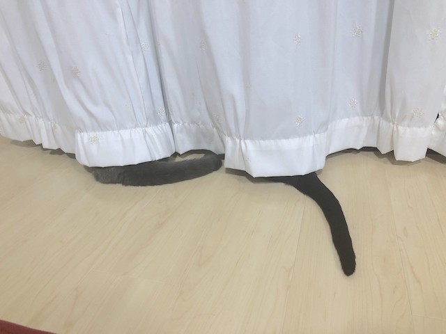 2019-07-07 22.45.04