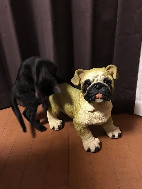 00