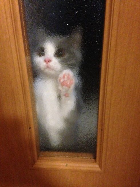34