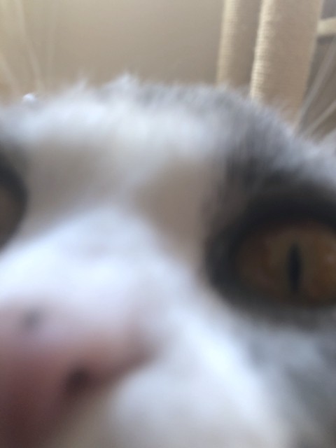 2019-02-18 10.57.36