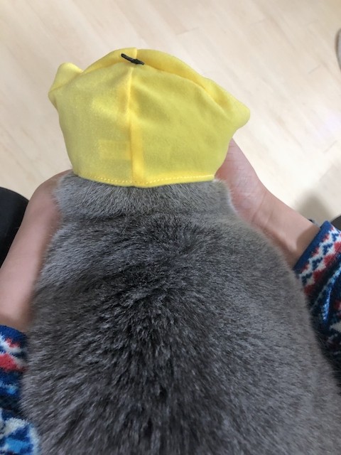 2019-03-25 20.49.33