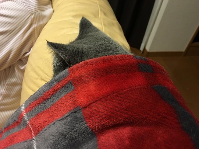 49