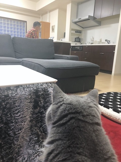 2019-03-03 17.48.07