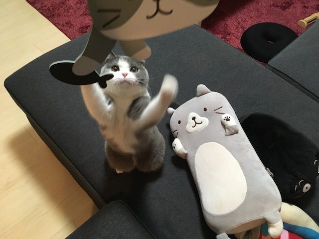 07