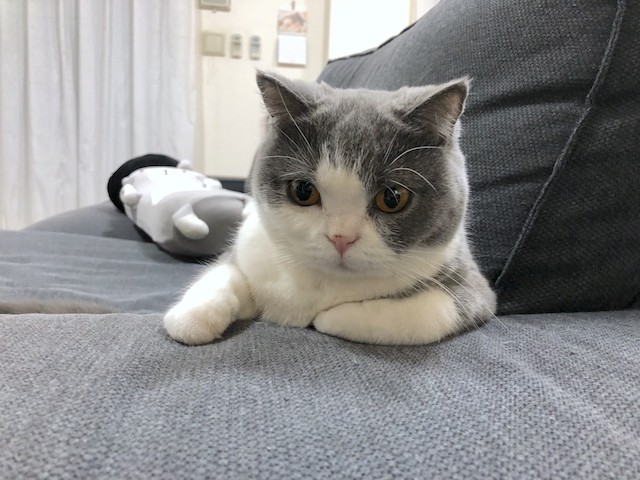 2018-12-31 18.17.27