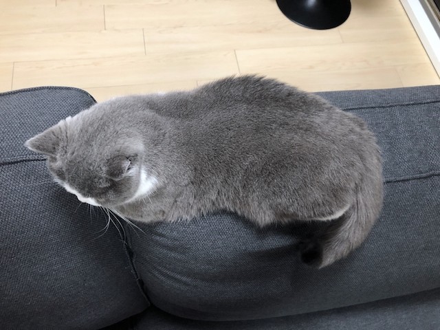 2019-03-04 23.37.41