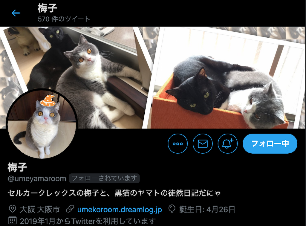 スクリーンショット 2020-10-04 8.16.50