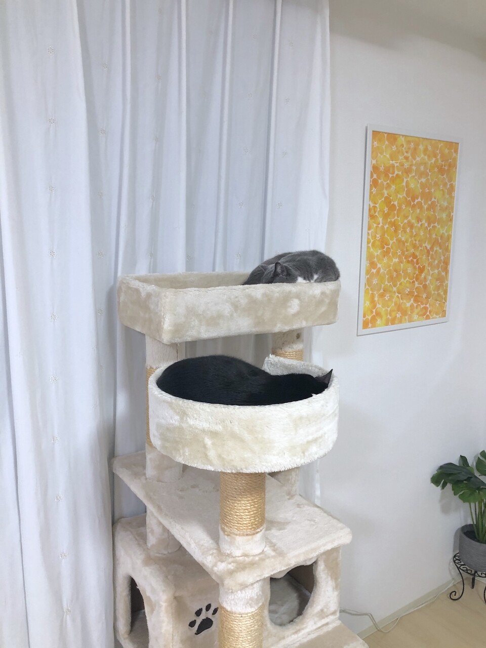 2019-12-09 23.40.47
