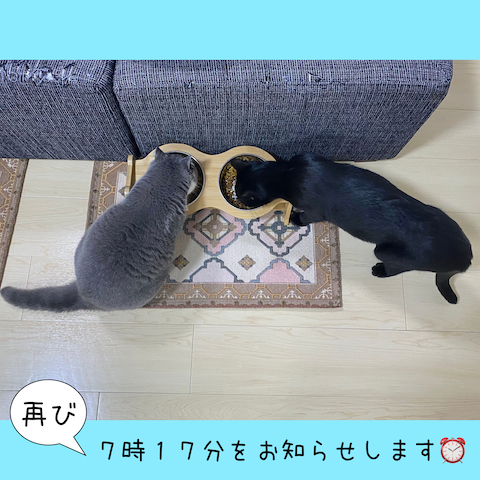 2022-06-05 21.01.37