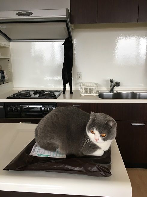 00