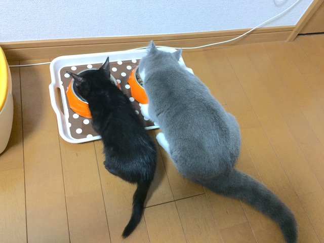 2015-11-02 22.03.09