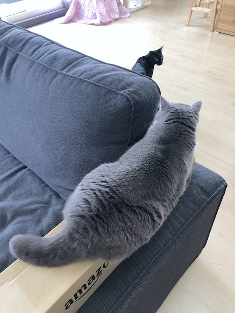 2019-05-03 09.41.47
