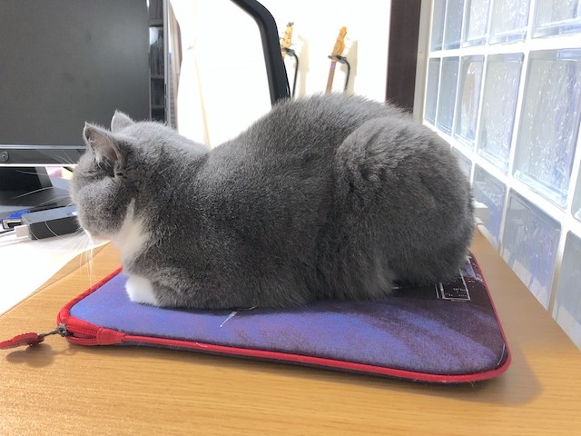 2018-10-21 17.24.14