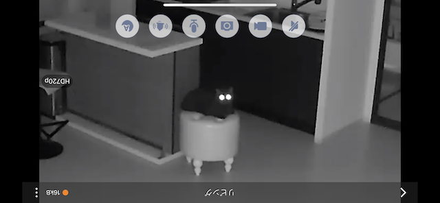 2022-10-15 22.13.46