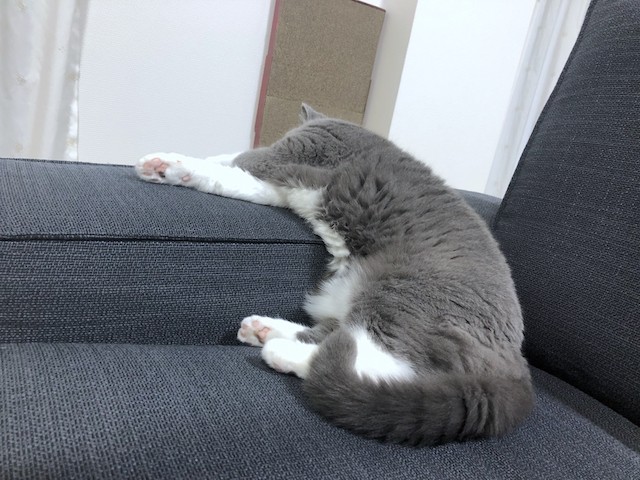 2019-08-10 22.51.37