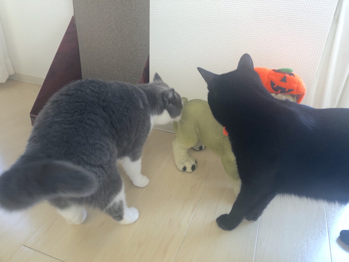 2019-10-09 12.56.22