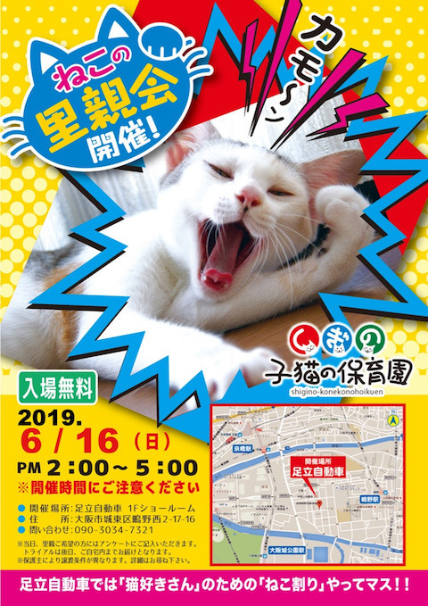 o0764108014463729387