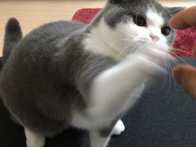 47