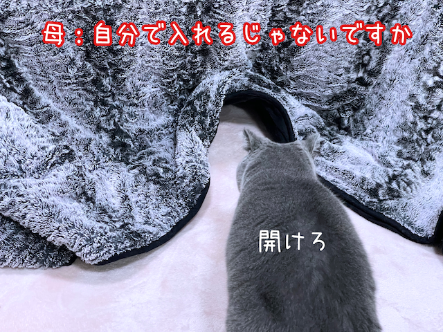 2022-12-12 20.01.12