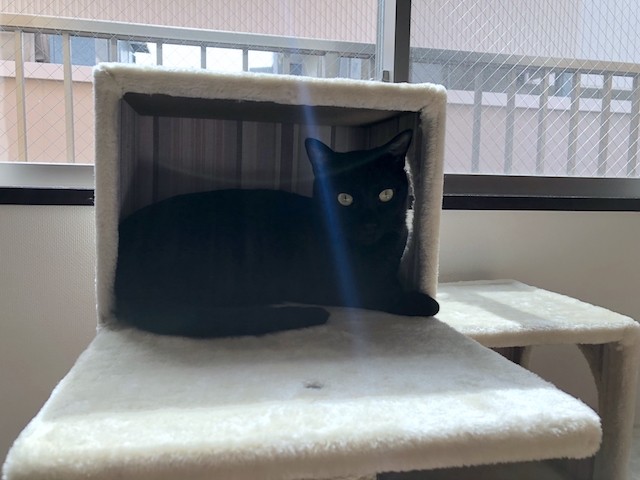 2018-06-30 08.56.21