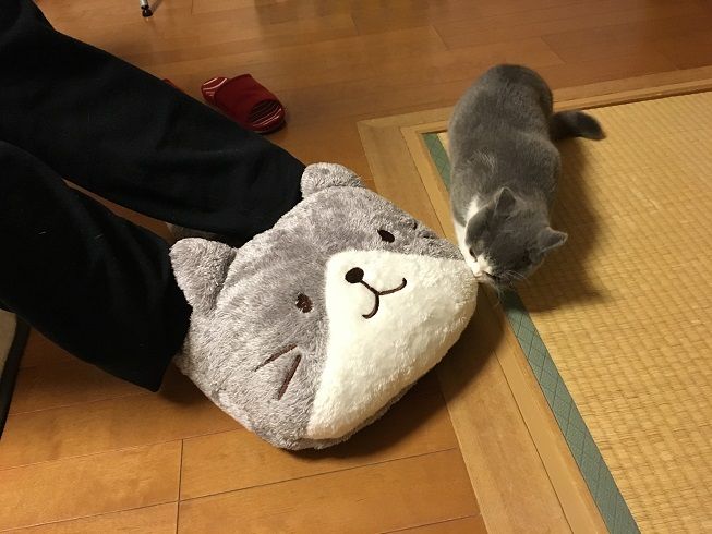 19