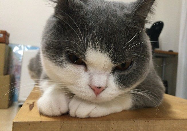41