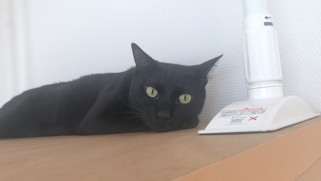 2019-07-14 09.41.58