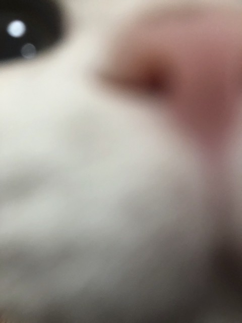 2019-03-03 17.48.46