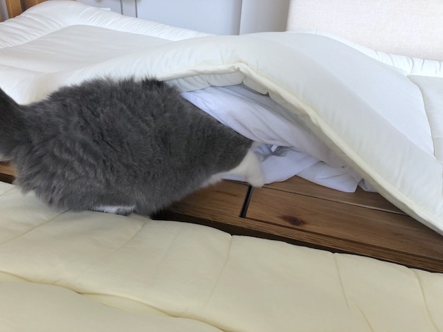 2019-07-15 11.42.09