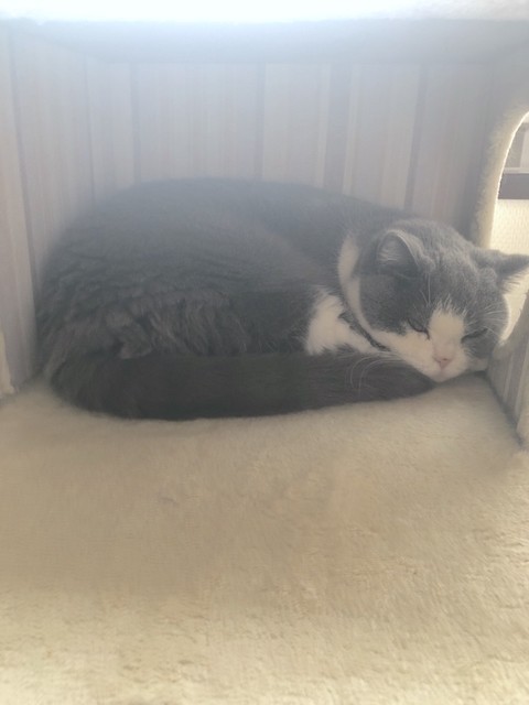 2019-07-23 16.49.40